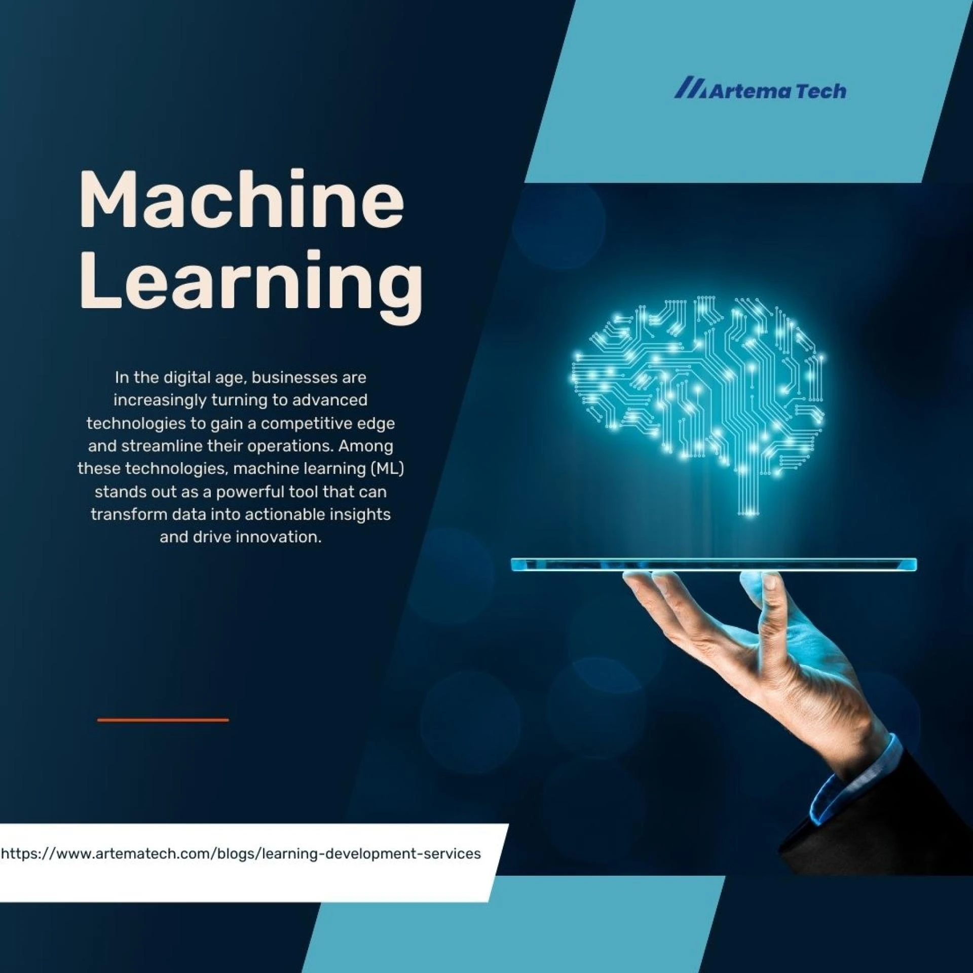 The Importance of Machine Learning Development Services