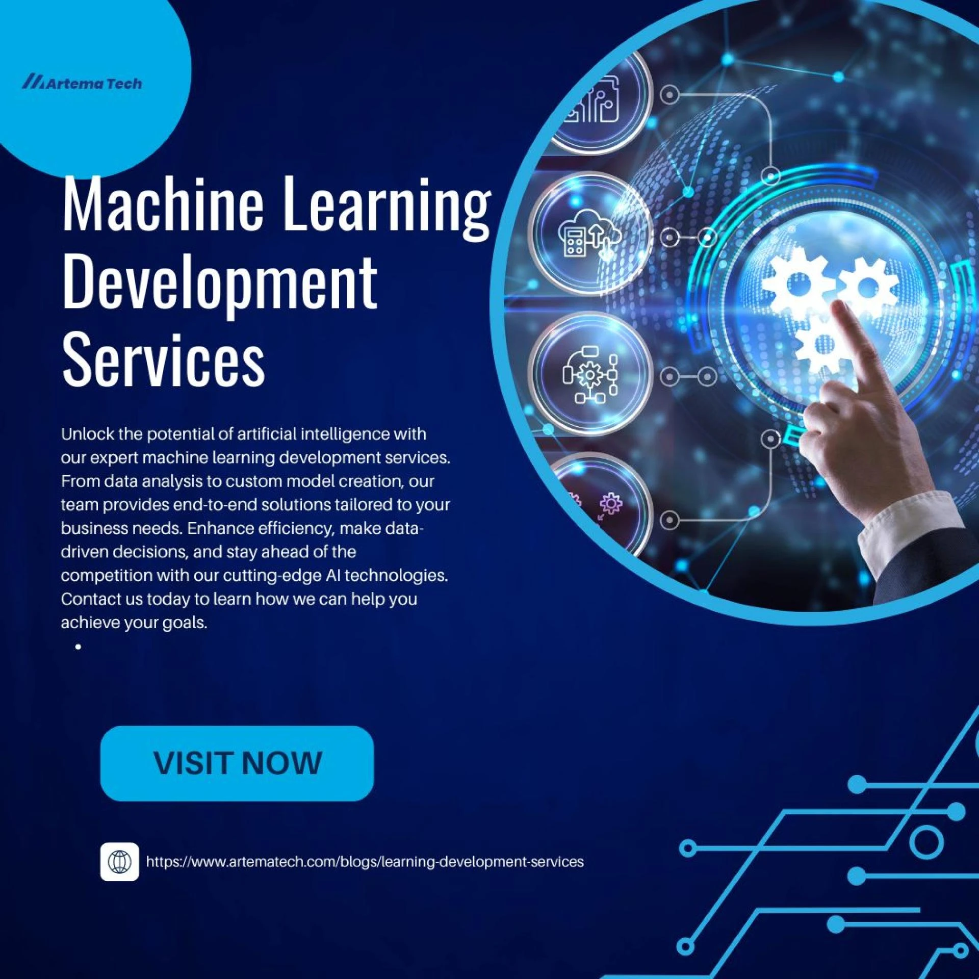 The Expansive Scope of Machine Learning Development Services