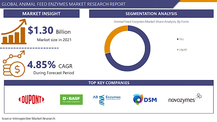 Animal Feed Enzymes Market Report 2024: Industry Analysis, Size, Share, Segmentation, Price Trends, Regional Analysis and Forecast 2032