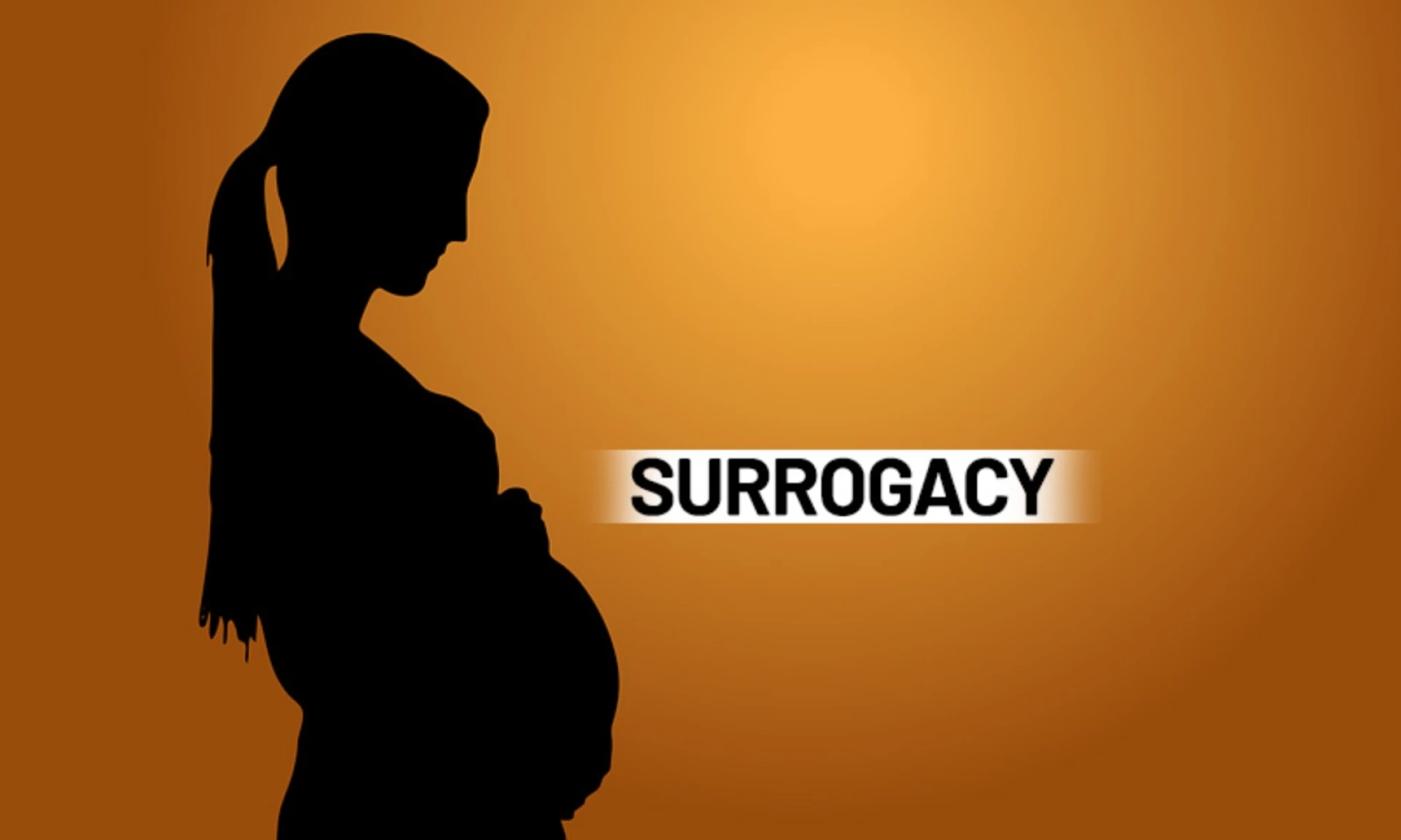 Surrogacy Market Size, Share and Industry Analysis, Report 2024-2032