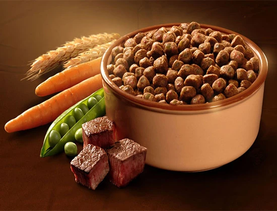 Dog Food Market Share, Key Players, Trends and Forecast 2023-2028