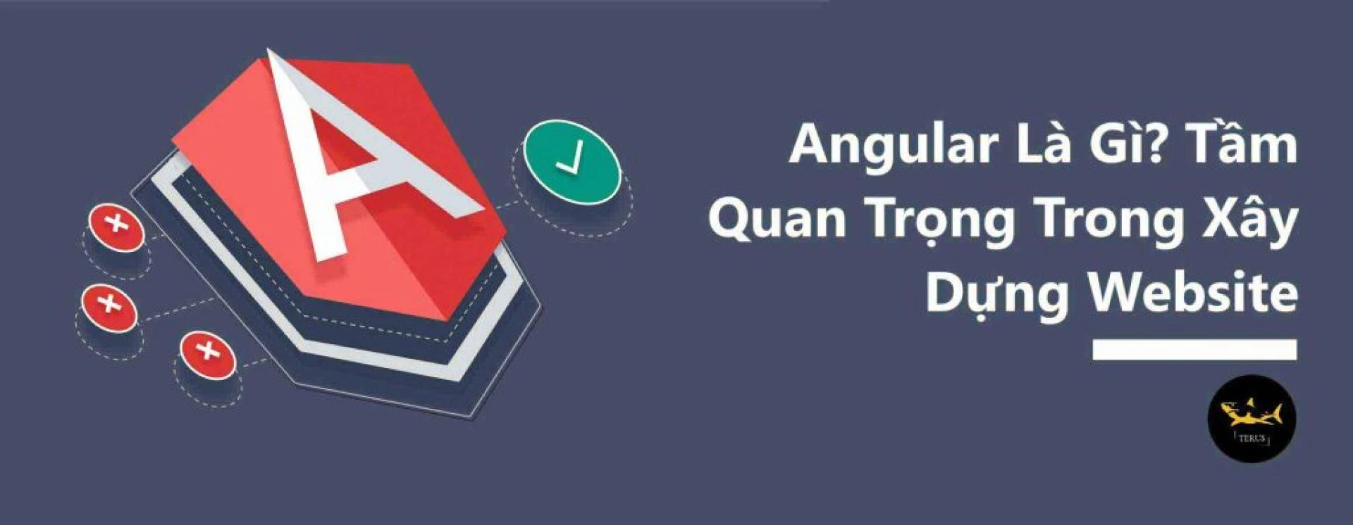 Angular Là Gì? Tầm Quan Trọng Trong Xây Dựng Website