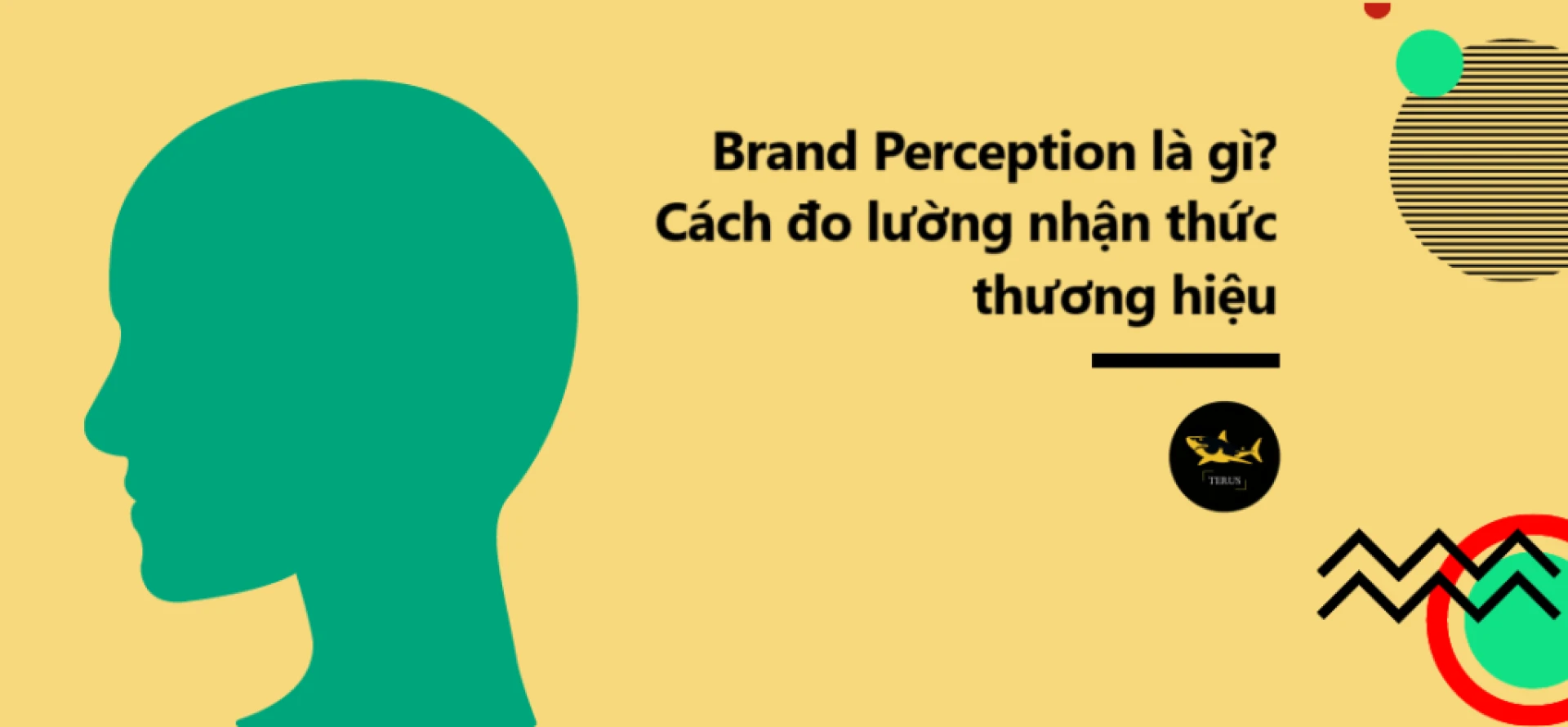Brand Perception Là Gì? Cách Đo Lường Brand Perception