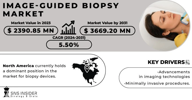 Market Segmentation of Image-guided Biopsy Technologies: Insights for Stakeholders