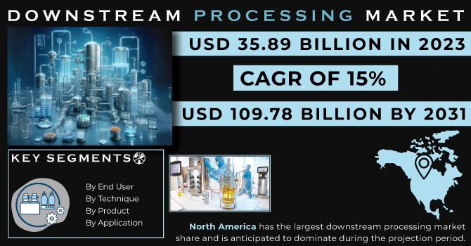 Future Projections for Downstream Processing Market Size