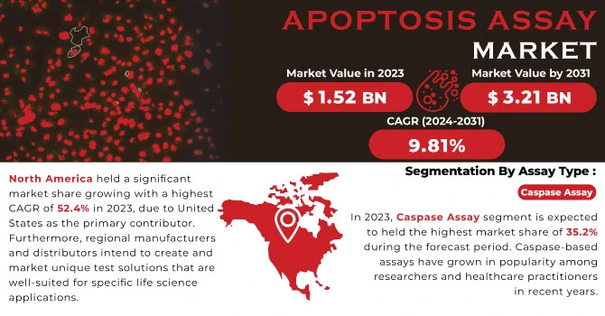 Key Players and Innovations Shaping the Apoptosis Assay Market Size