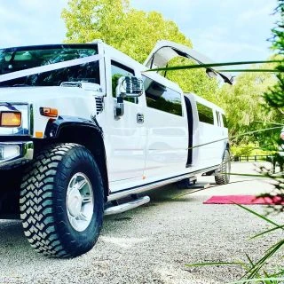 Different Types of Limousine You Can Hire