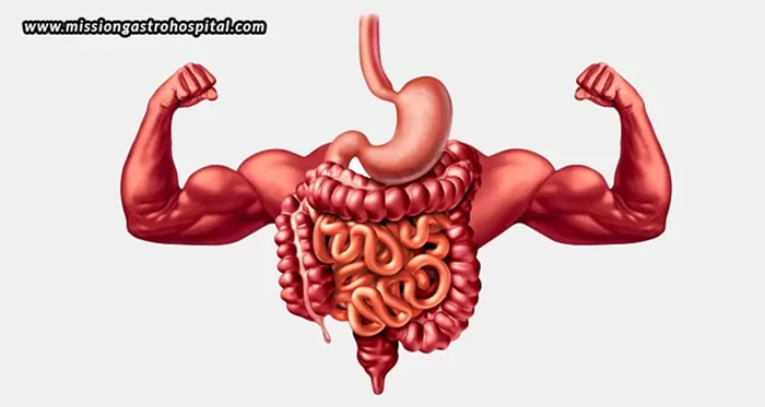 How To Keep Your Digestive System Healthy
