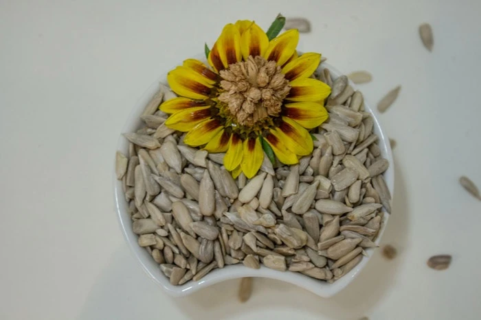 5 Health Benefits of Sunflower Seeds You Should Know