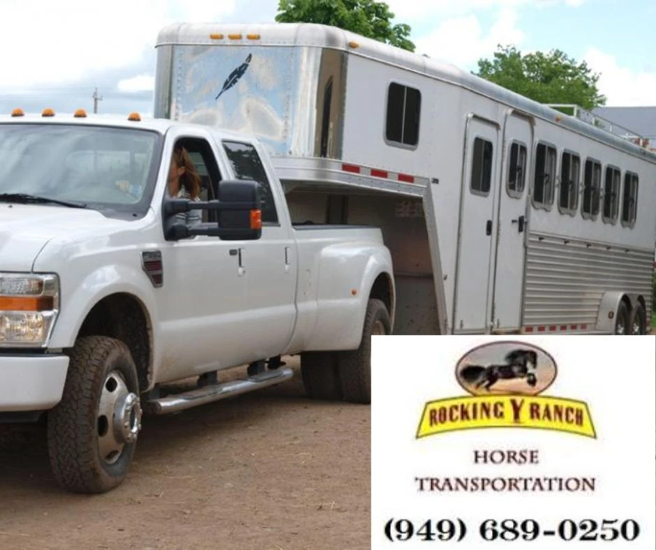 Nationwide &amp; California Horse Transport: Safe, Reliable, and Affordable | Rocking Y Ranch