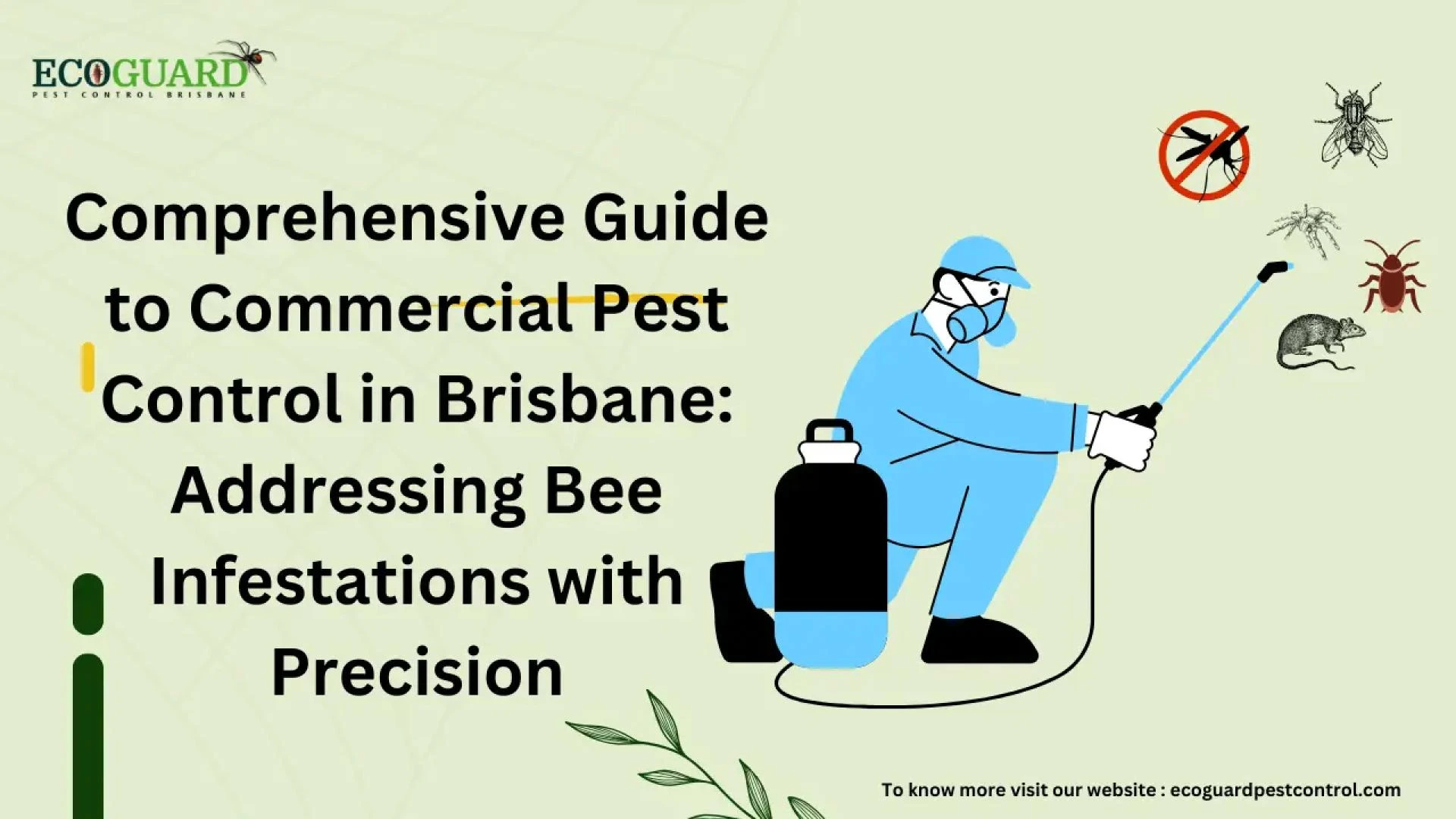 Comprehensive Guide to Commercial Pest Control in Brisbane: Addressing Bee Infestations with Precision