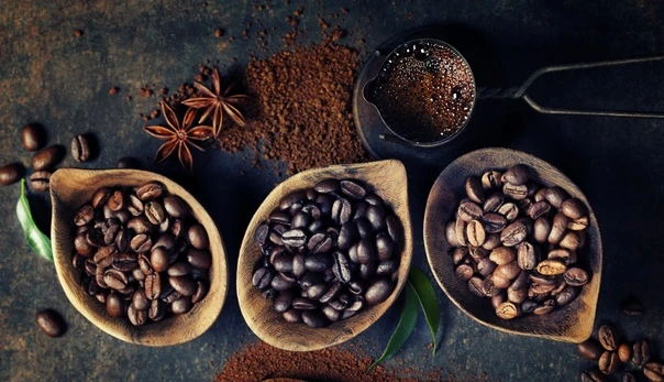 The Magic of Coffee Beans: From Farm to Cup