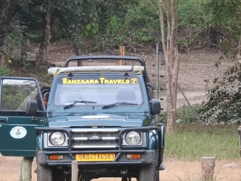 The Ultimate Guide to Planning Your First Jim Corbett Safari Adventure