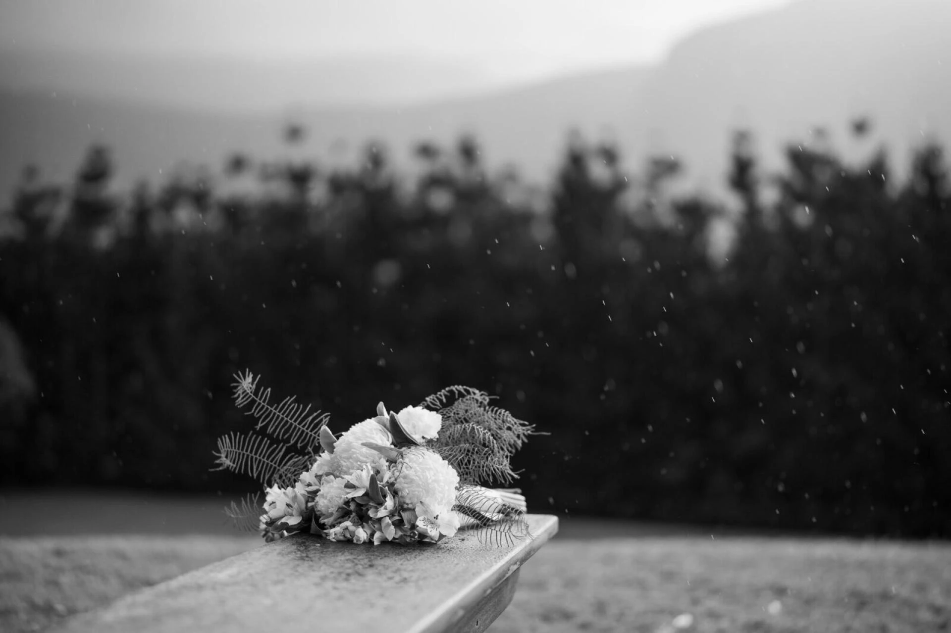 Top 5 Destination Wedding Photographers on the Tweed Coast