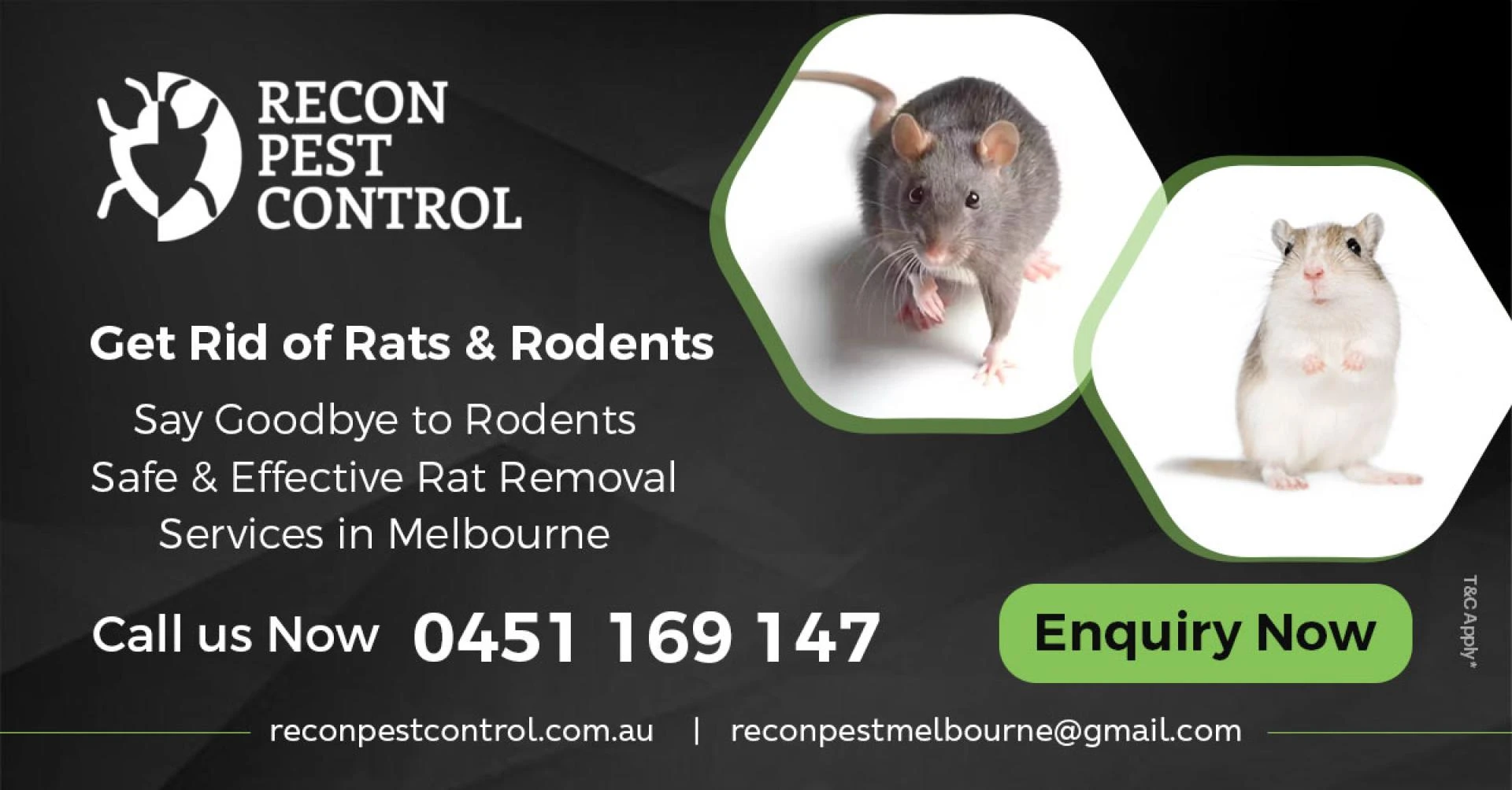 The Crucial Role of Pest and Rodent Control: Safeguarding Your Home and Health