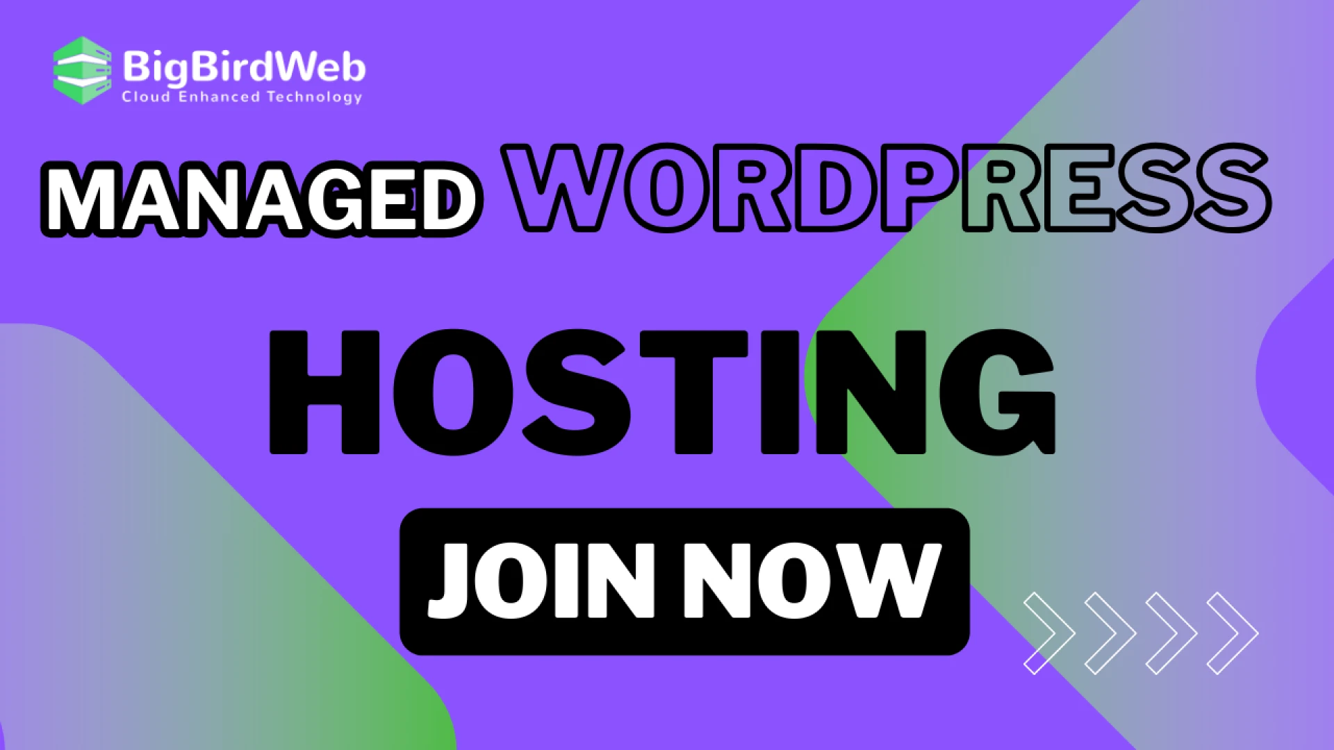 MANAGED WORDPRESS HOSTING- Big Bird Web