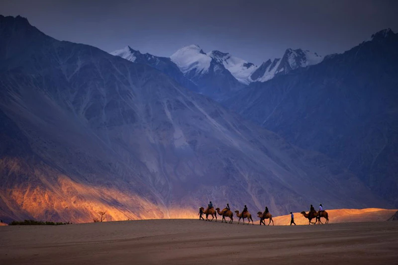 Ladakh Package Tour from Delhi: Unleash Your Inner Explorer with NatureWings