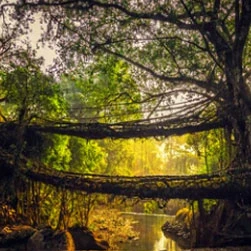 Beautiful North East Package Tour from Guwahati - Best Offer