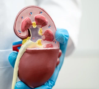 Where to Go for Kidney Stone Treatment in Chennai: A Guide to Finding the Right Clinic