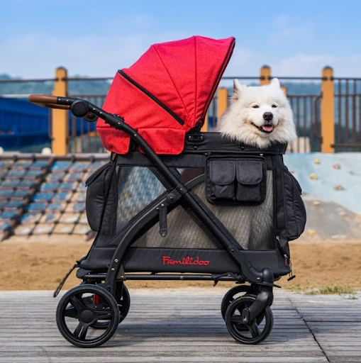 10 Best Folding Strollers for Easy Travel and Storage