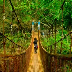 Book North East Package Tour from Guwahati with NatureWings Holidays