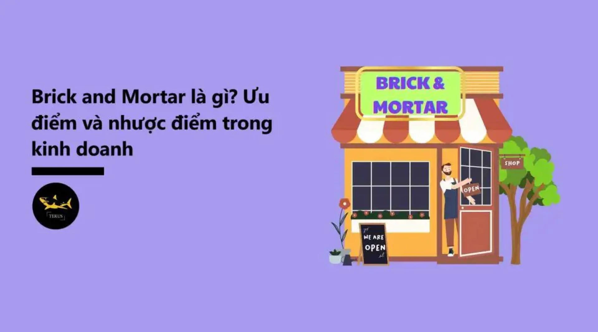 Brick and Mortal là doanh nghiệp như thế nào? Chiến lược B&amp;M được áp dụng như thế nào?