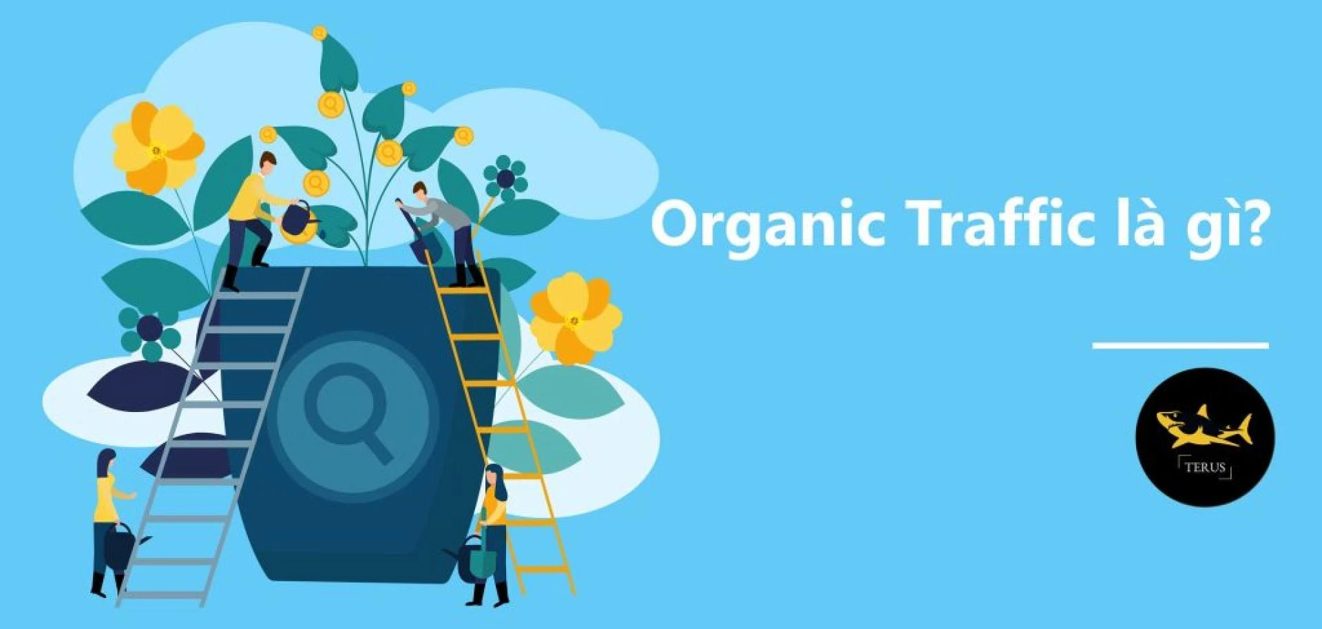 Tại Sao Cần Quan Tâm Đến Organic Traffic Và Tầm Quan Trọng Của Nó