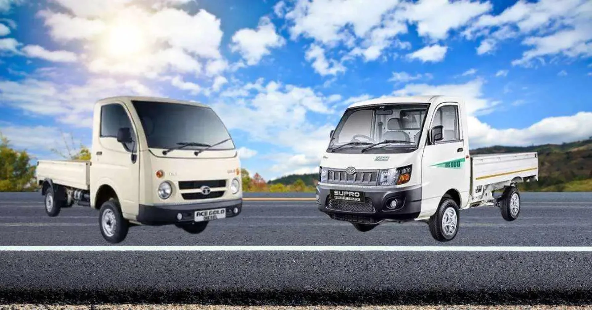 Optimized for Comfort and Utility: Small CVs for Tourism and Delivery Services