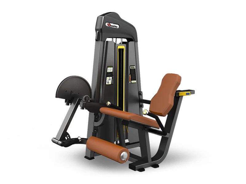TheXPT.com: Your Ultimate Destination for Premium Gym Equipment