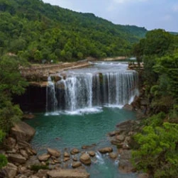 Book North East Tour Package from Guwahati from NatureWings