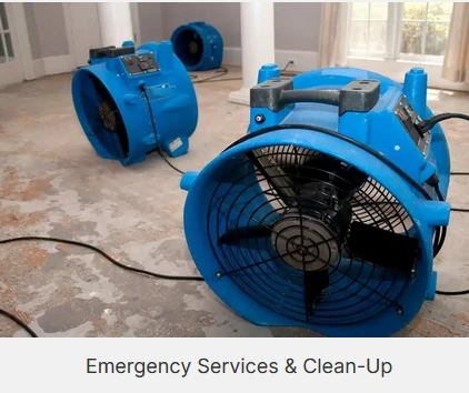 Quality Remediation in San Diego: A Thorough Manual for Mold Remediation!