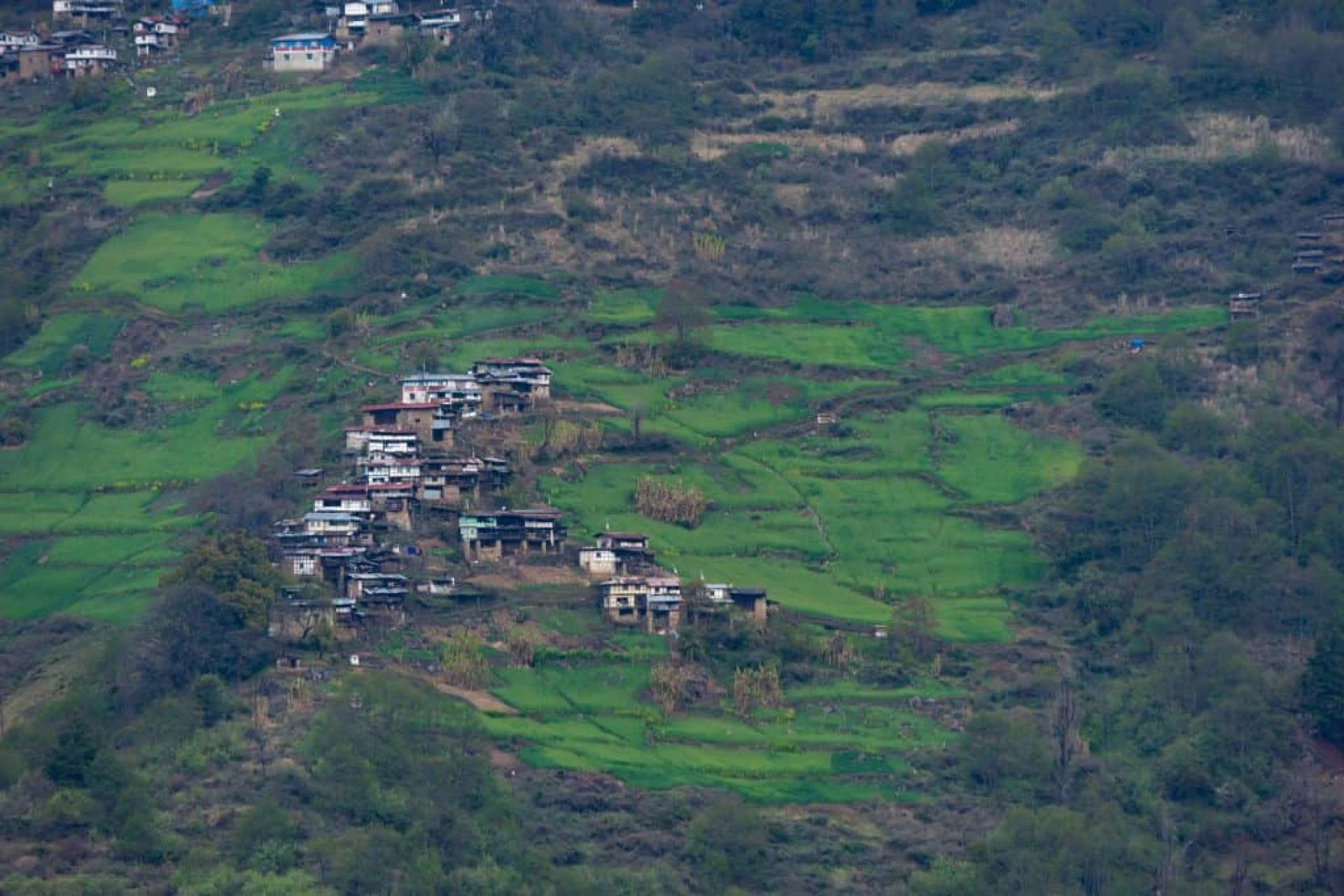 Book Kohima Imphal Mokokchung Tour Package from NatureWings