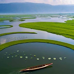 Book Kohima Imphal Mokokchung Tour Package from NatureWings