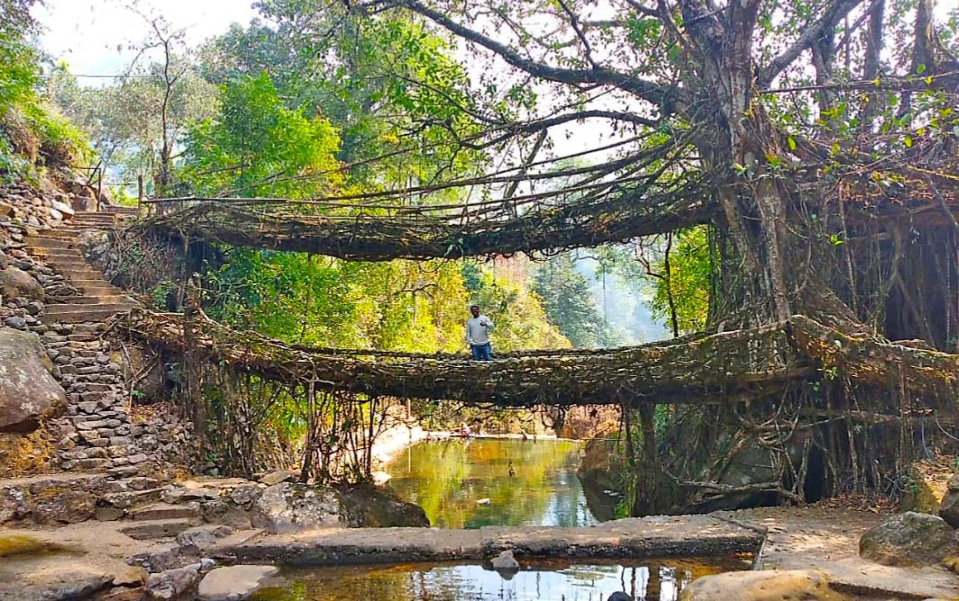 Shillong Meghalaya Cherrapunji Package Tour - BEST PRICE OFFER!!