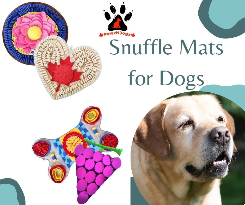 How Snuffle Mats Can Help with Dog Anxiety and Stress?