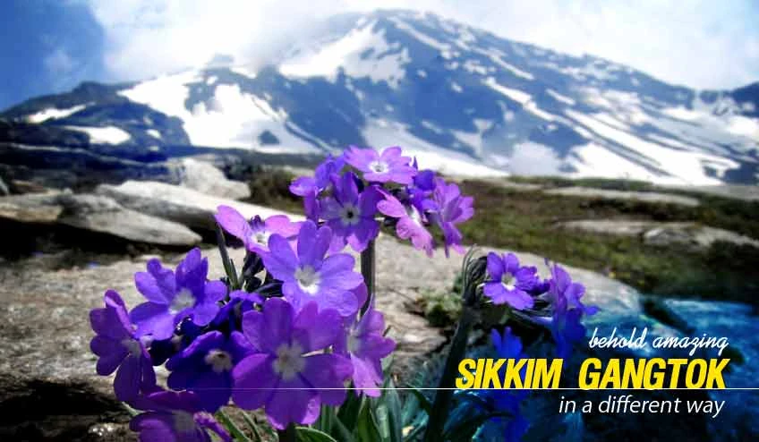 Amazing Sikkim Tour Packages from Bagdogra NJP Siliguri - GRAB BEST SEASON RATE