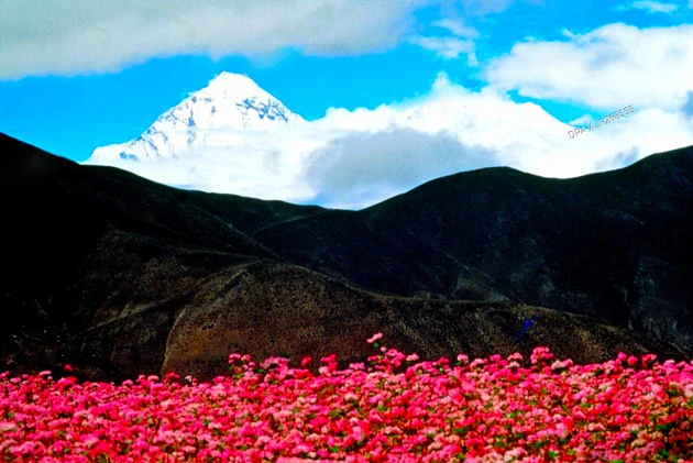 Nepal Package Tour from Kathmandu