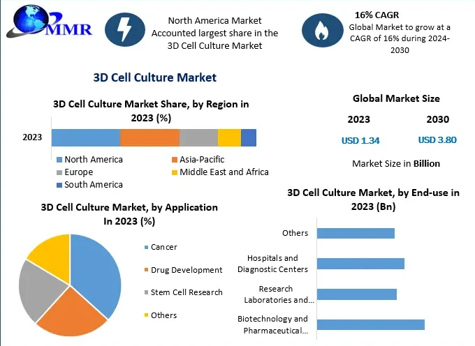 Market 3D Cell Culture: Size, Share, Revenue, and Worth Statistics Unveiled | 2024-2030
