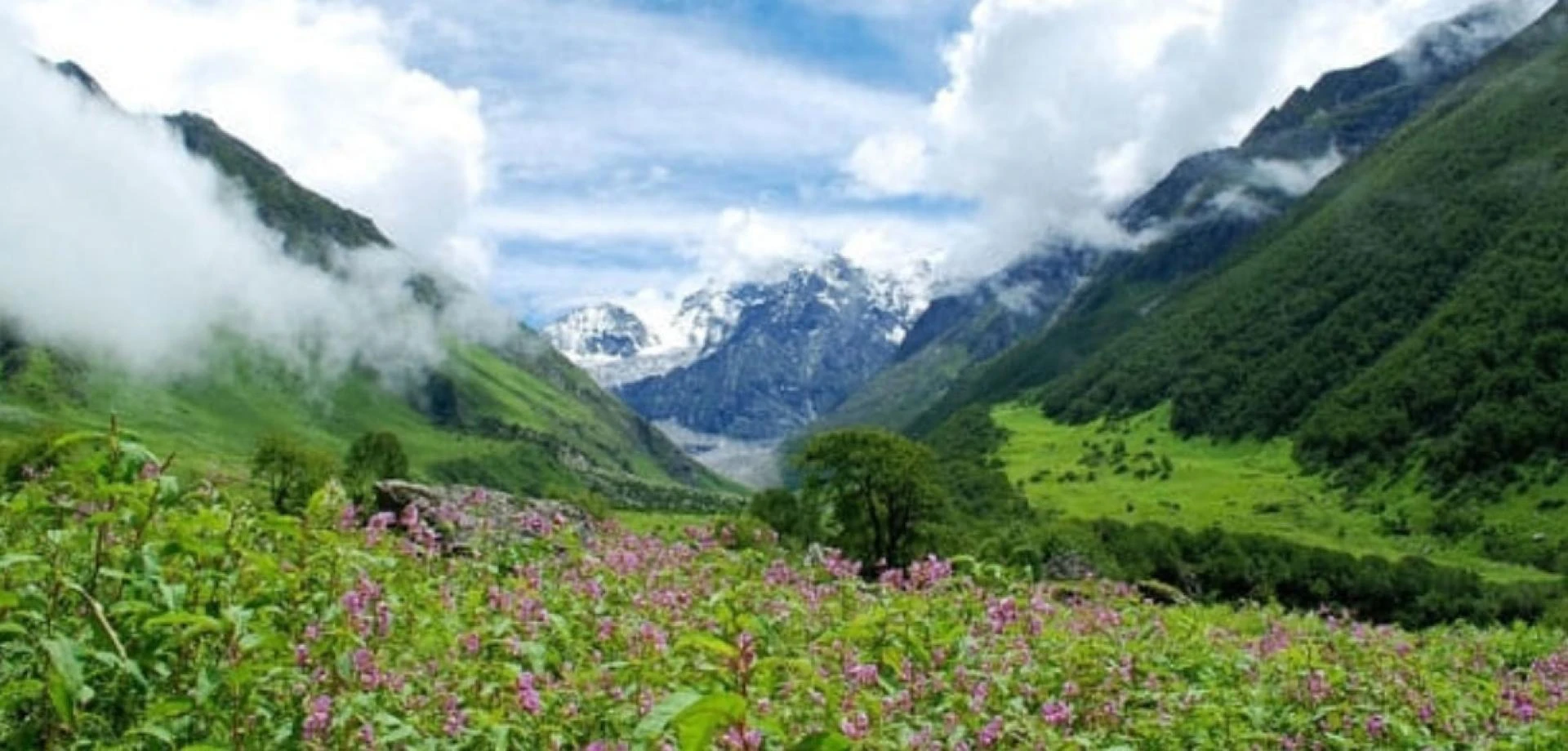 Looking for Arunachal Pradesh Package Tour from Kolkata - Get Best Deal from NatureWings! BOOK NOW!