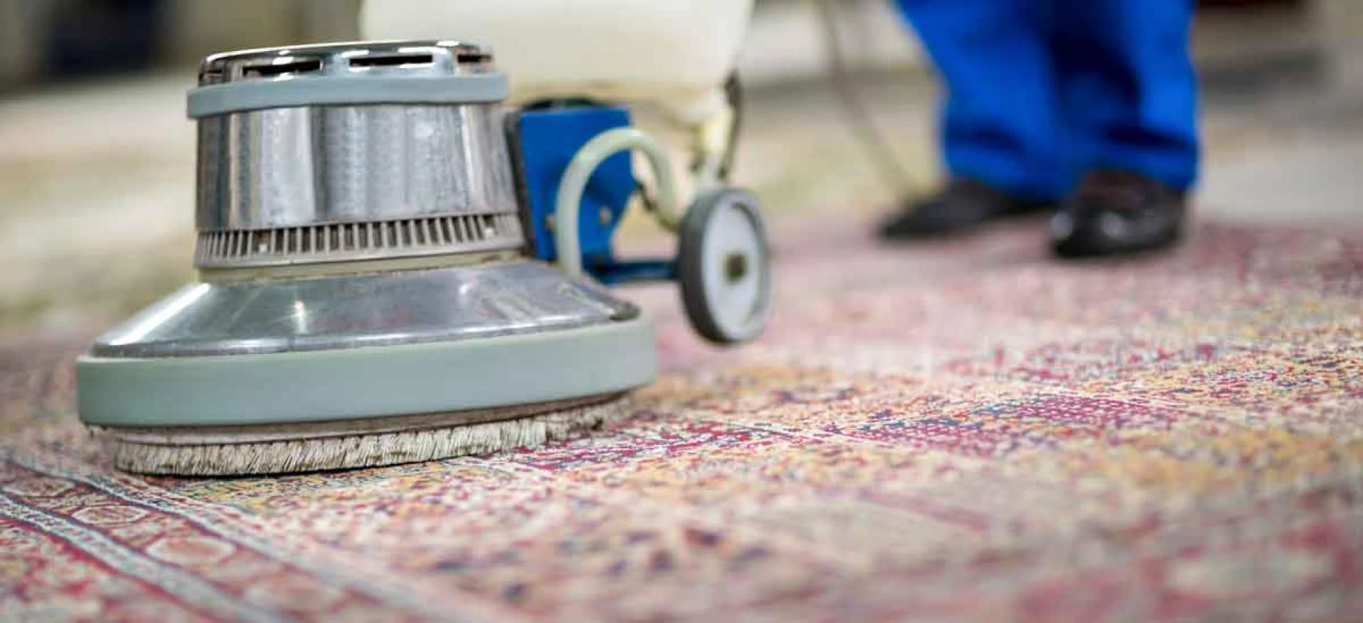 Revitalize Your Carpets: The Benefits of Professional Cleaning in Melbourne