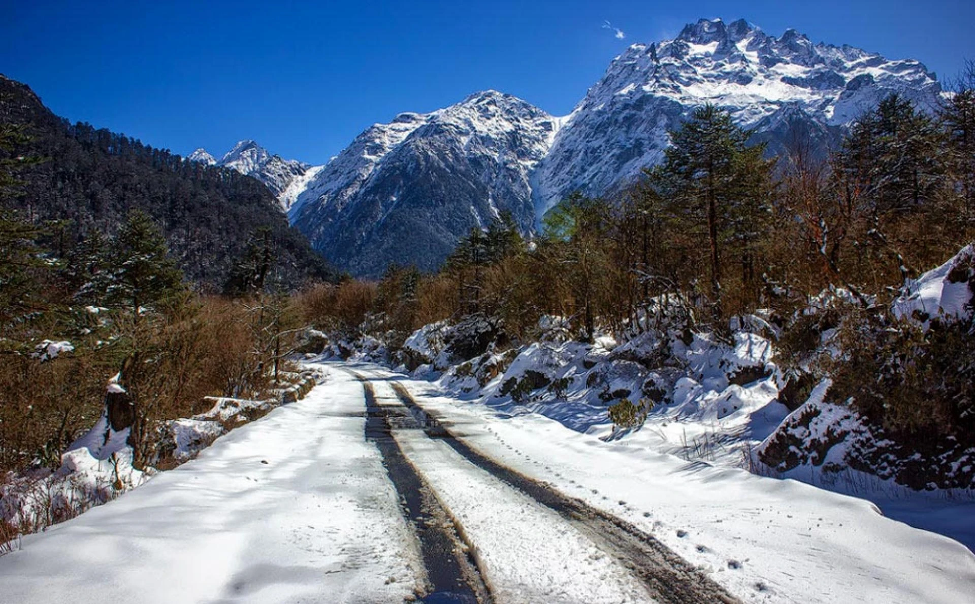 Book Wonderful 2N 3D North Sikkim Package Tour with NatureWings