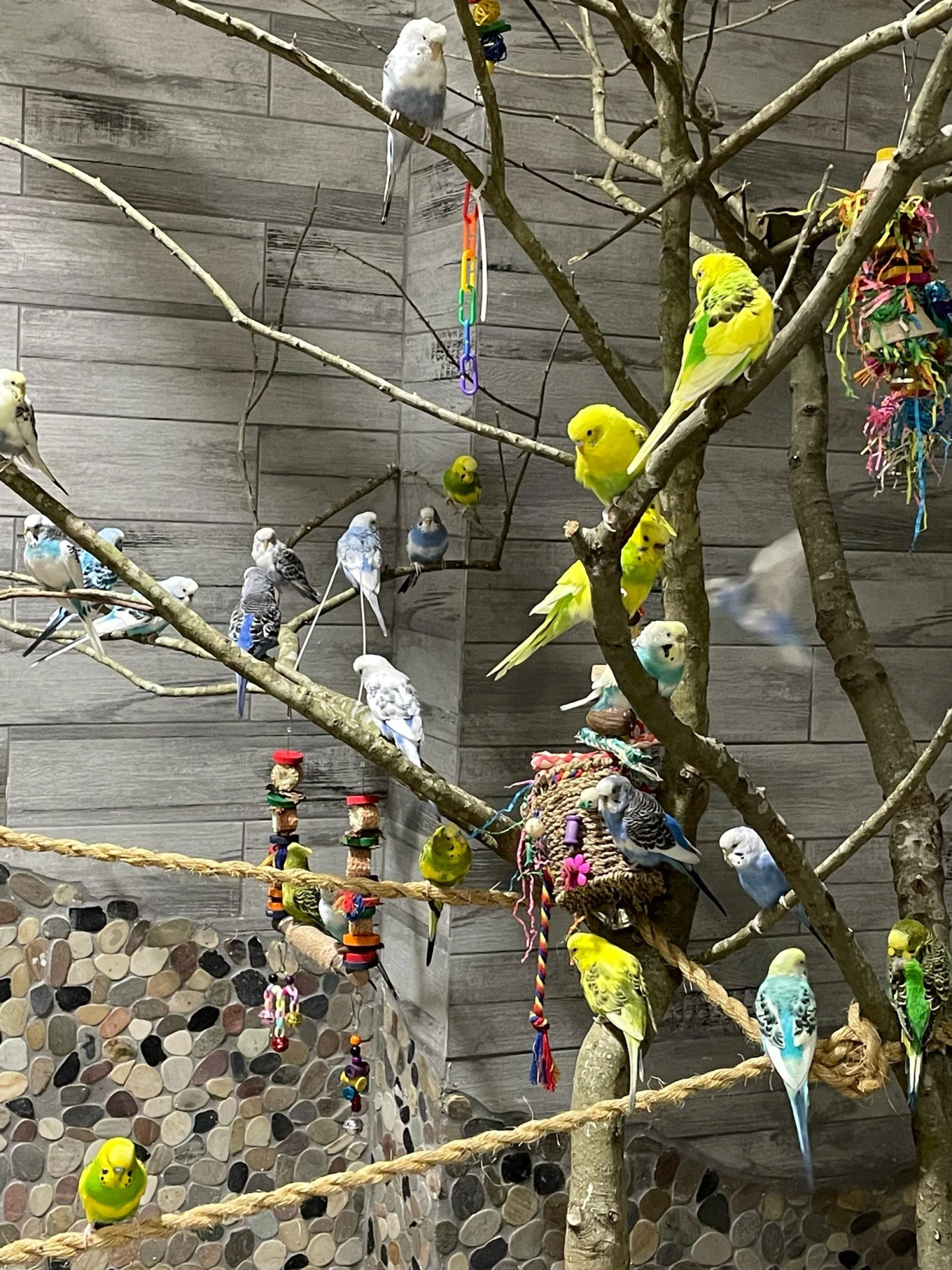 The Best Kinds of Summer Field Trips for Children