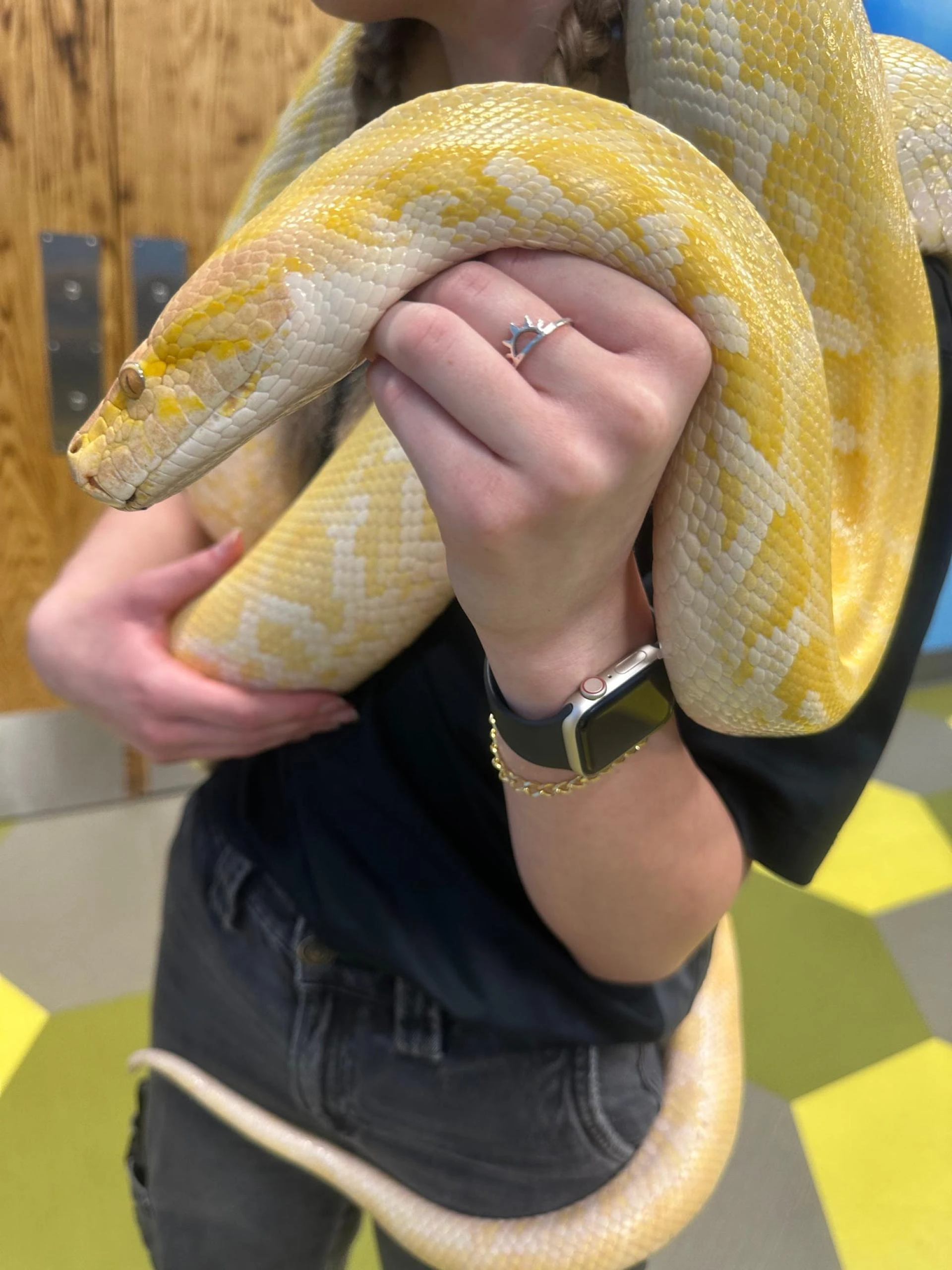 4 Reasons Your Kids Will Love an Interactive Aquarium