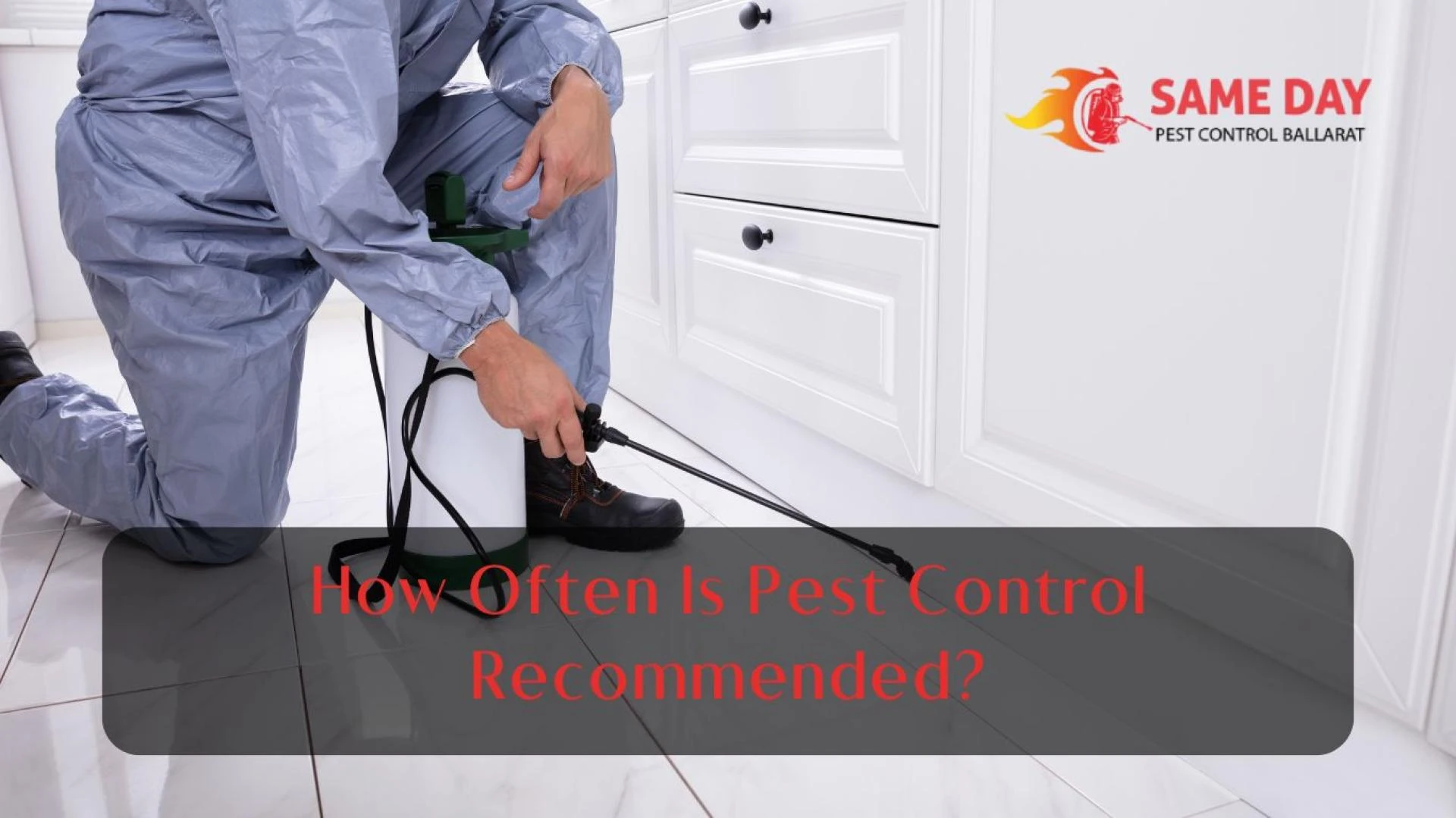 How Often Is Pest Control Recommended? A Comprehensive Guide for Homeowners