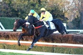 PMU Malin: Redefining Personal Makeup Artistry