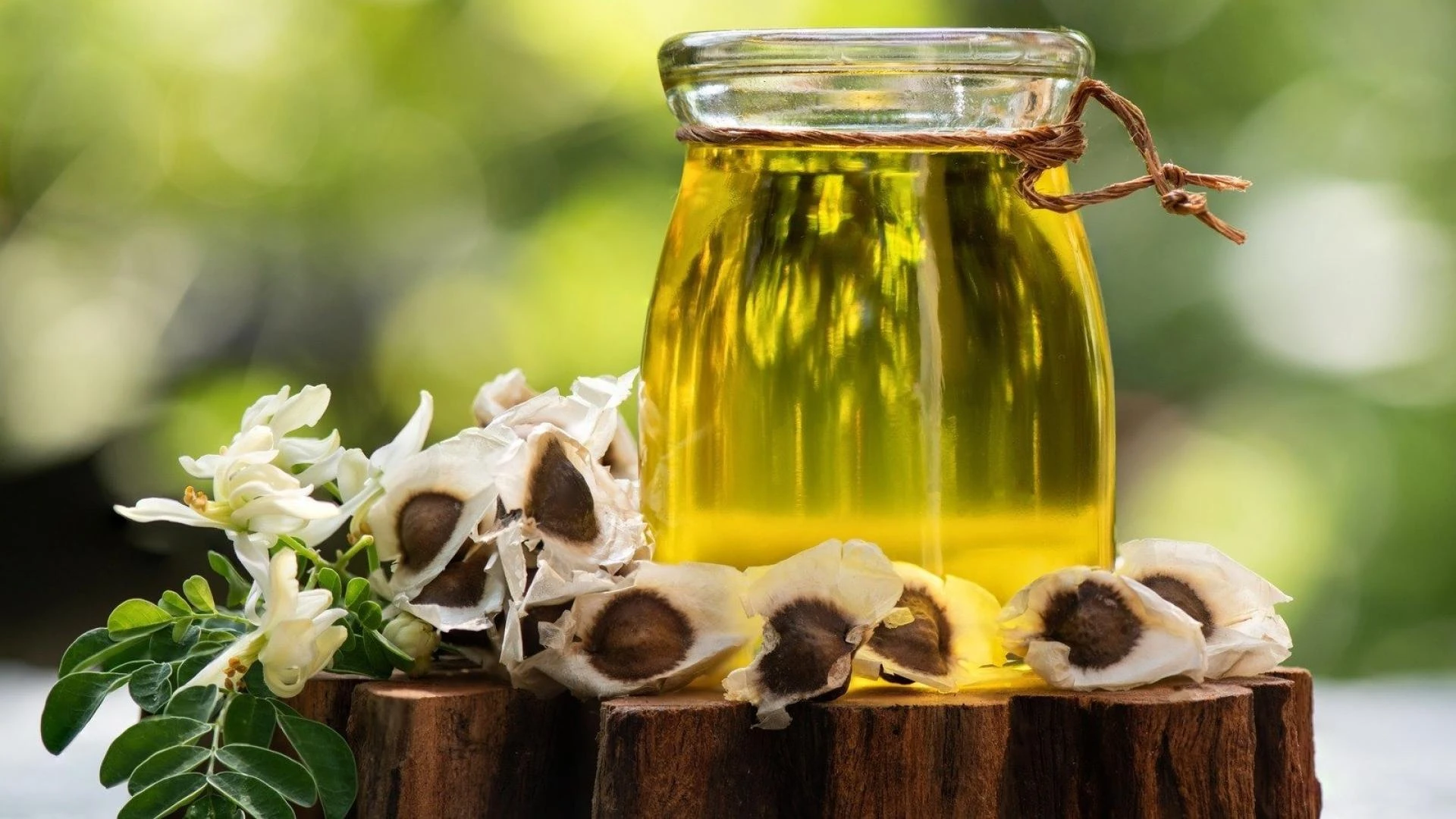 Moringa Oil Processing Plant Setup Report: Machinery Requirements, Raw Materials and Business Plan