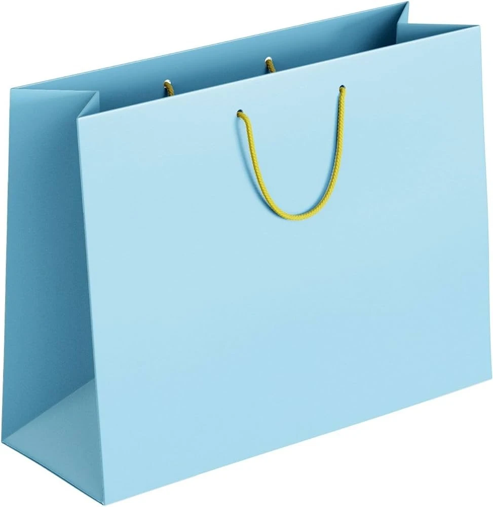 Paper Bag Manufacturing Plant Setup Report Details Industry Trends and Business Opportunities
