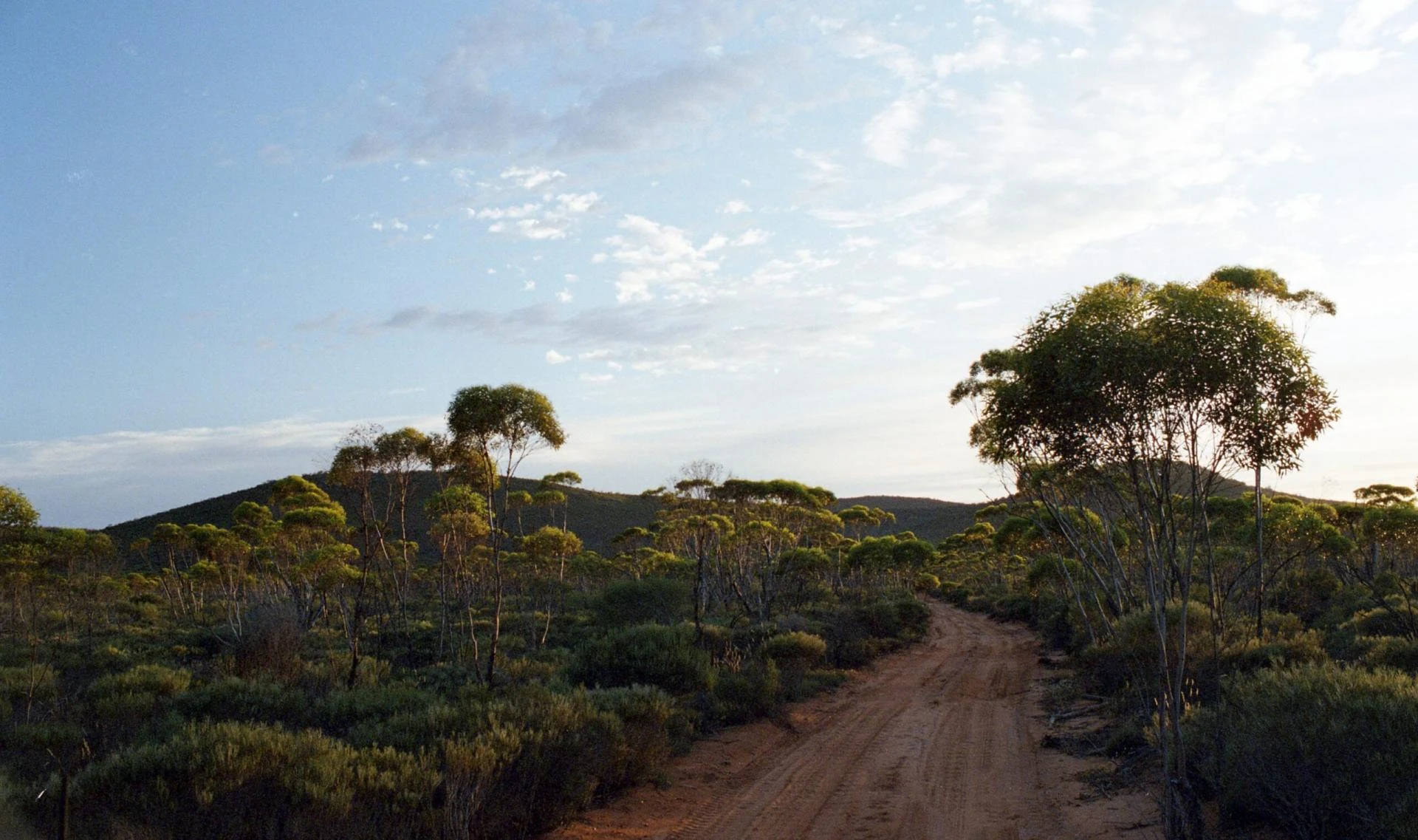 Checklist for Choosing the Right Fauna Management Services