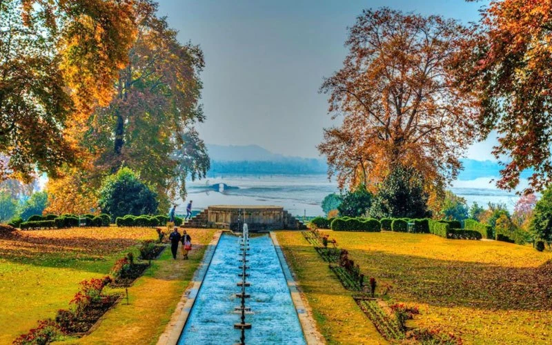 Kashmir Package Tour from Kolkata with NatureWings Holidays