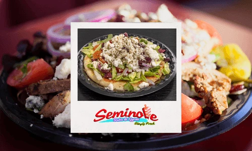 Seminole Subs &amp; Gyros Franchise System is ELECTRIC
